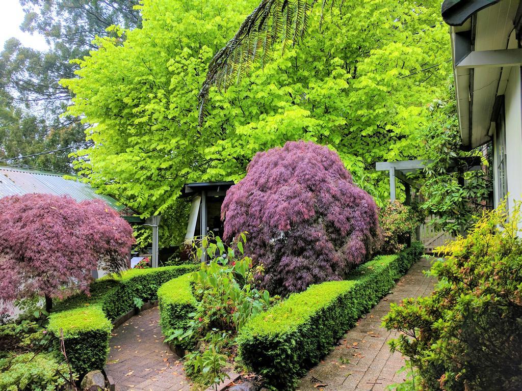 Annie Roes Luxury B&B Bend of Islands Zewnętrze zdjęcie
